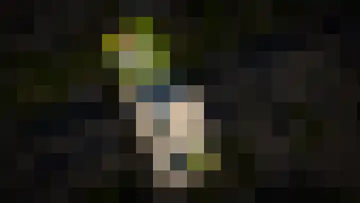 Zaanstraat 15 Veghel thumbnail 31