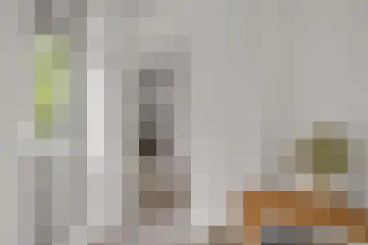 Zaanstraat 150 Amsterdam thumbnail 15
