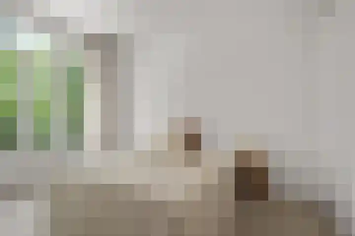 Zaanstraat 150 Amsterdam thumbnail 18