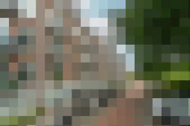 Zaanstraat 150 Amsterdam thumbnail 22