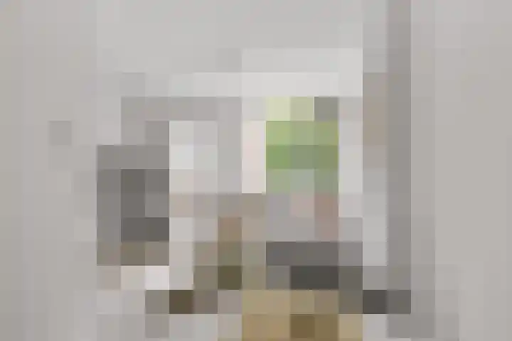 Zaanstraat 150 Amsterdam thumbnail 5