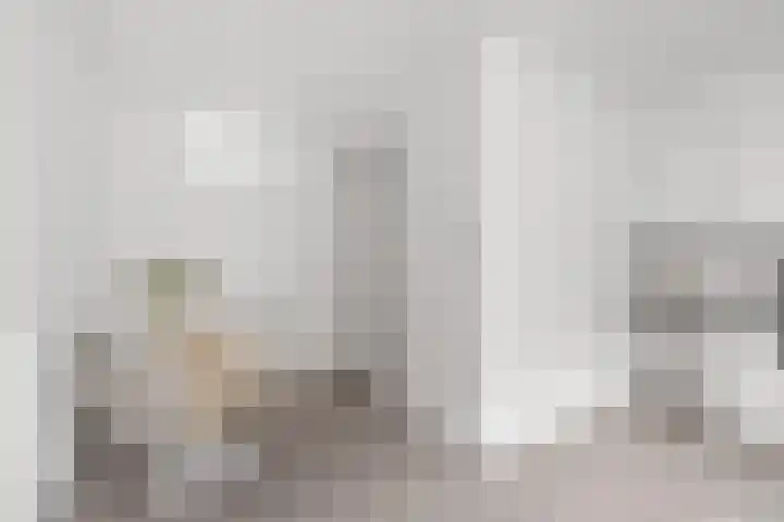 Zaanstraat 150 Amsterdam thumbnail 7