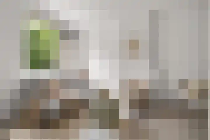 Zaanstraat 150 Amsterdam thumbnail 8