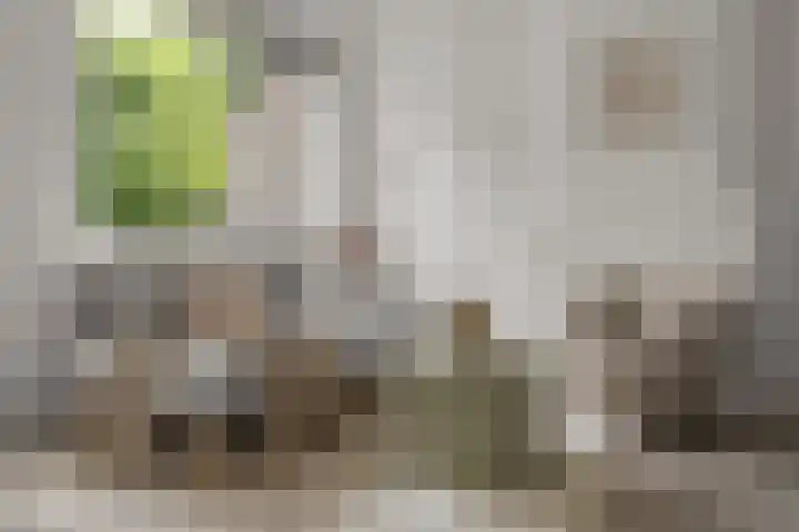 Zaanstraat 150 Amsterdam thumbnail 9