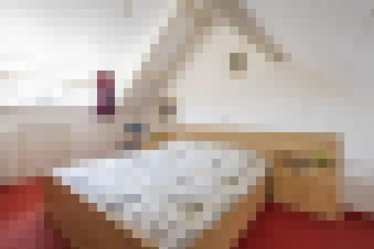 Zaanstraat 16 Terneuzen thumbnail 24