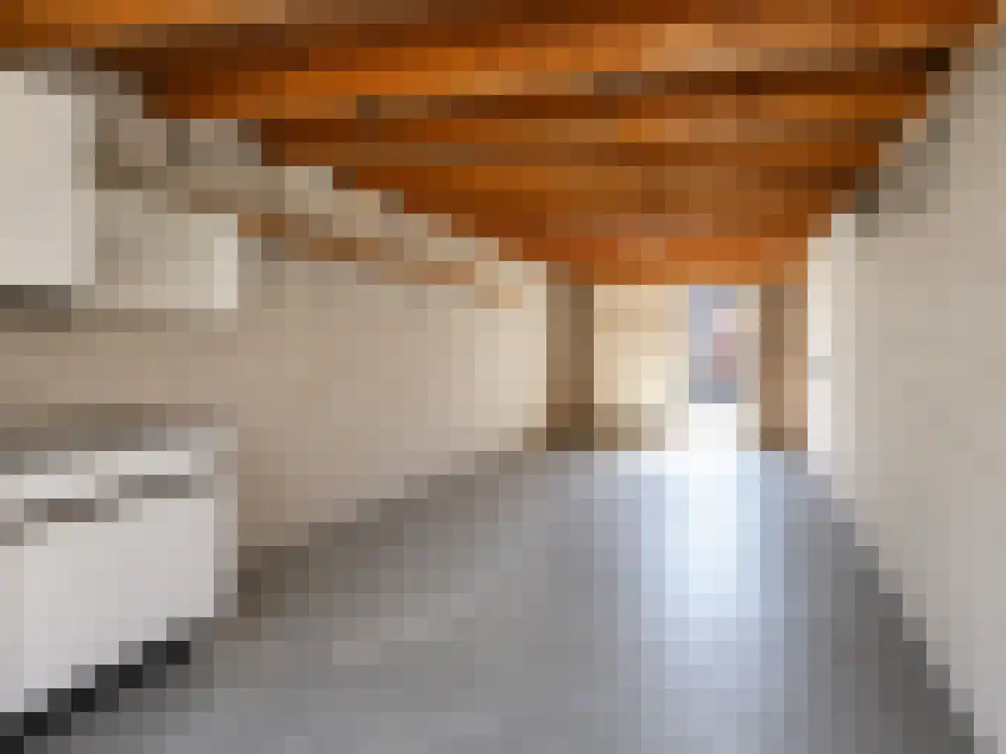 Zaanstraat 16 Terneuzen thumbnail 30