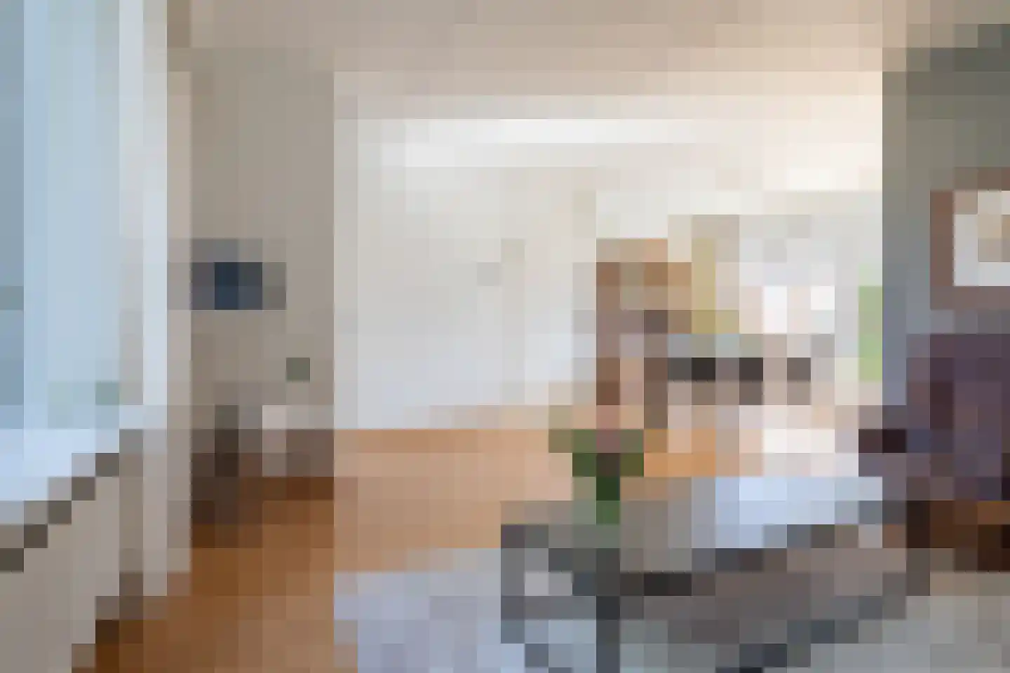 Zaanstraat 16 Terneuzen thumbnail 8