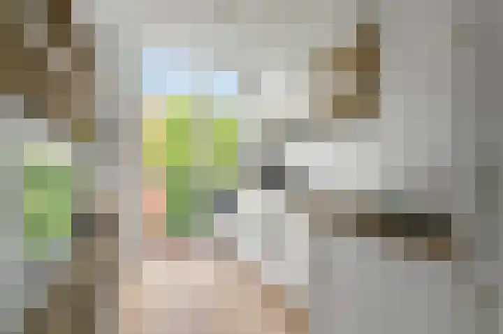 Zaanstraat 171 Amsterdam thumbnail 6