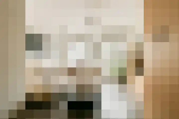 Zaanstraat 185 Amsterdam thumbnail 9
