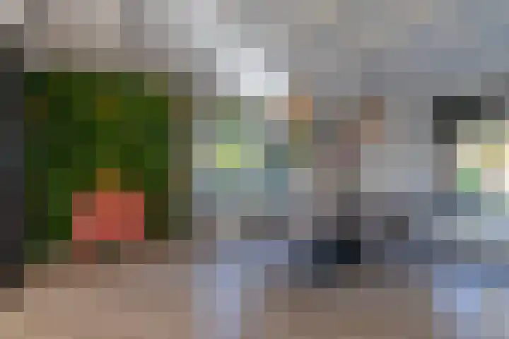 Zaanstraat 19 Terneuzen thumbnail 11