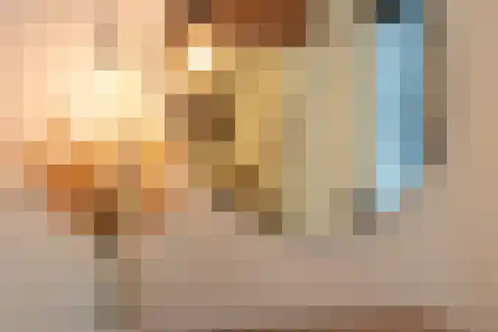 Zaanstraat 19 Terneuzen thumbnail 16