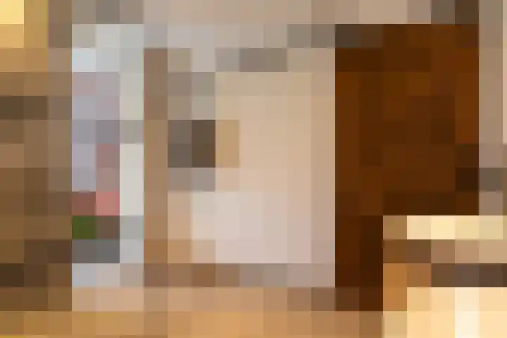 Zaanstraat 19 Terneuzen thumbnail 26
