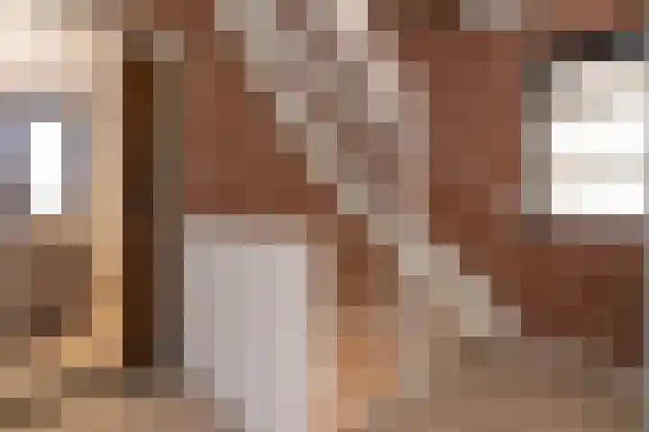 Zaanstraat 19 Terneuzen thumbnail 28