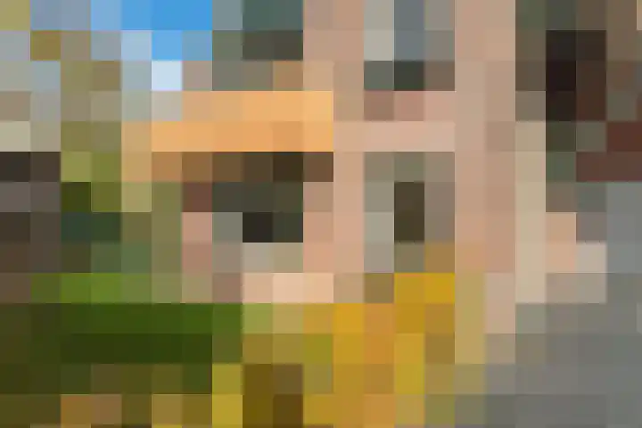 Zaanstraat 19 Terneuzen thumbnail 33