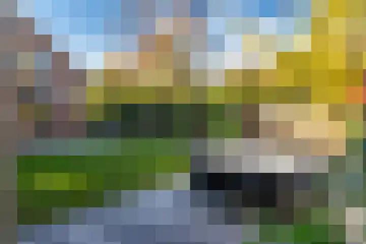 Zaanstraat 19 Terneuzen thumbnail 35