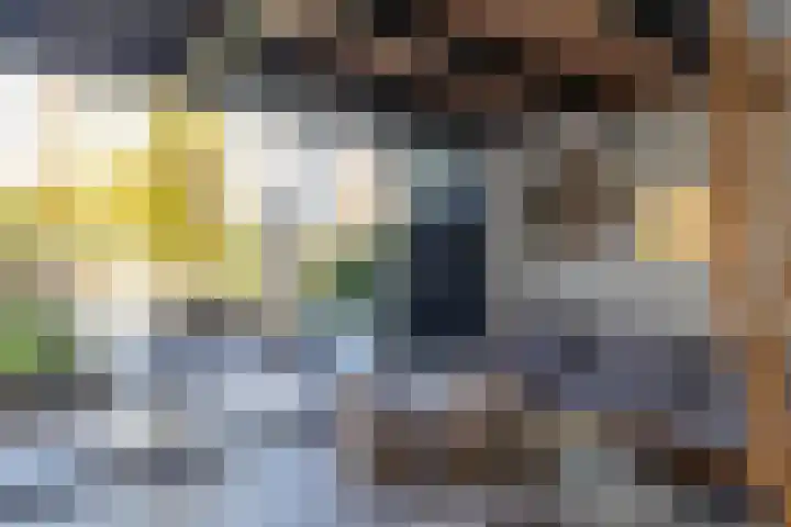 Zaanstraat 19 Terneuzen thumbnail 38