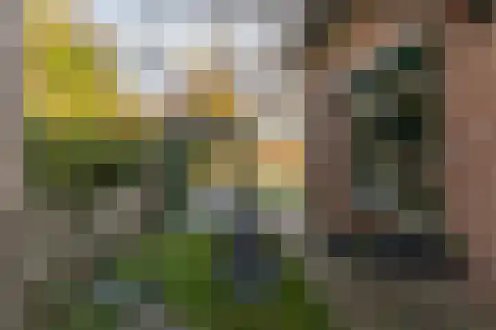 Zaanstraat 19 Terneuzen thumbnail 39