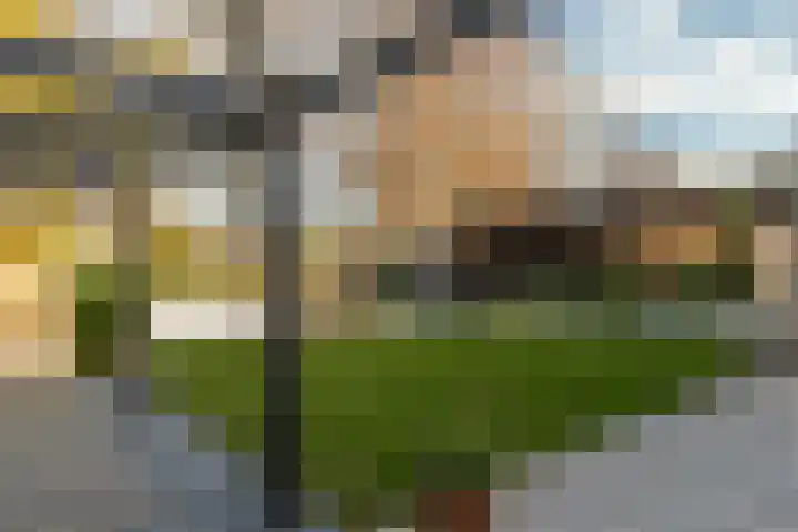 Zaanstraat 19 Terneuzen thumbnail 4