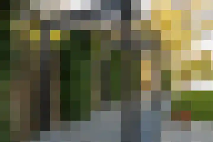 Zaanstraat 19 Terneuzen thumbnail 40