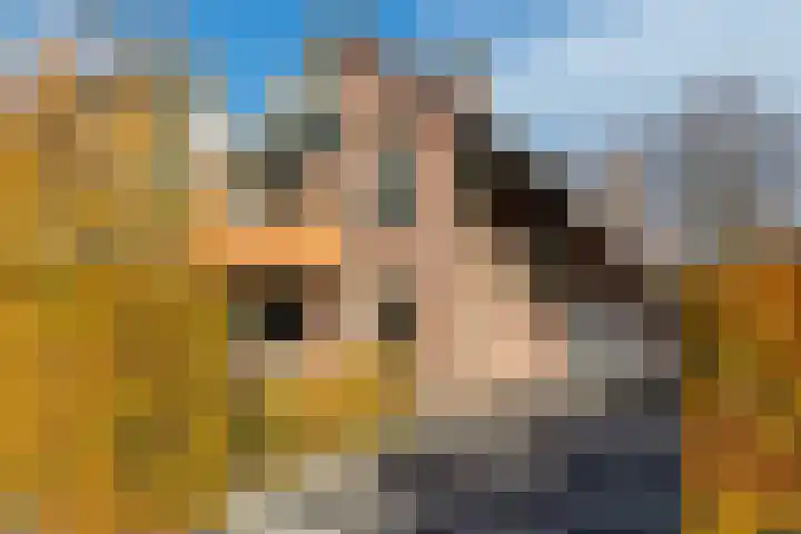 Zaanstraat 19 Terneuzen thumbnail 6