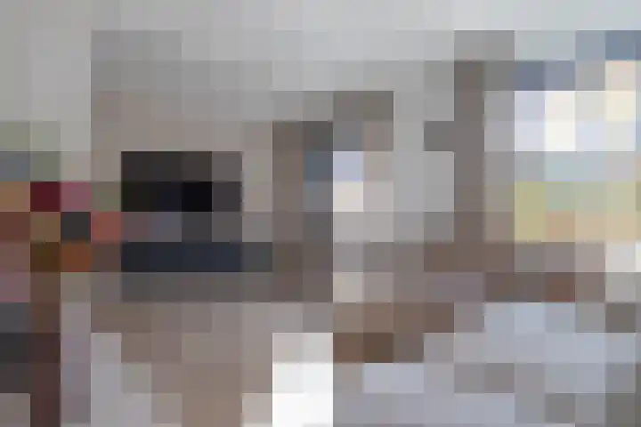 Zaanstraat 19 Terneuzen thumbnail 7