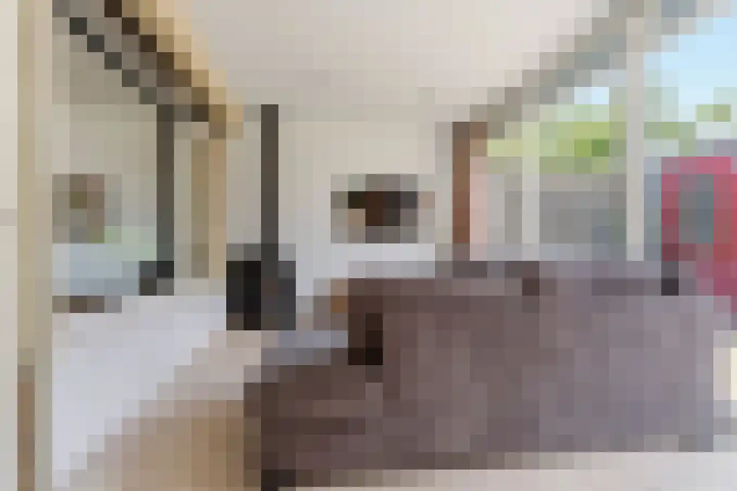Zaanstraat 2 Arnhem thumbnail 17