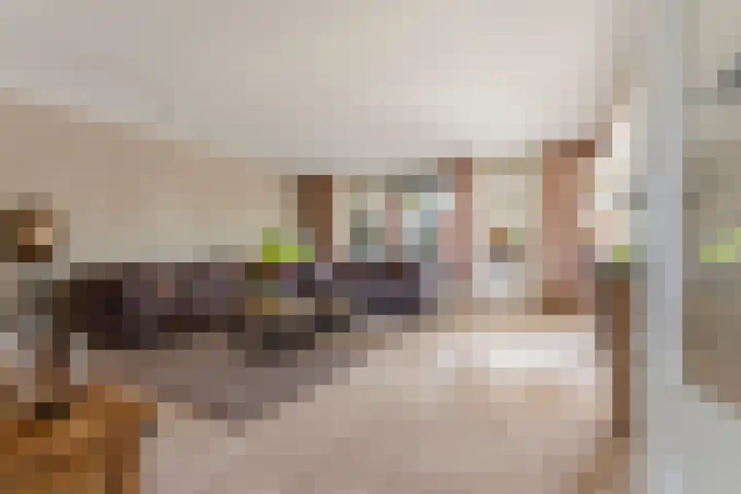 Zaanstraat 2 Arnhem thumbnail 8