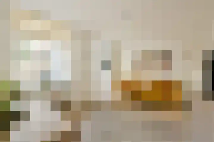 Zaanstraat 20 Amsterdam thumbnail 5