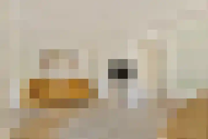 Zaanstraat 20 Amsterdam thumbnail 6