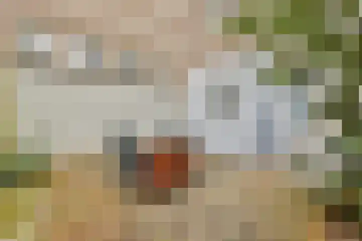Zaanstraat 20 Amsterdam thumbnail 8