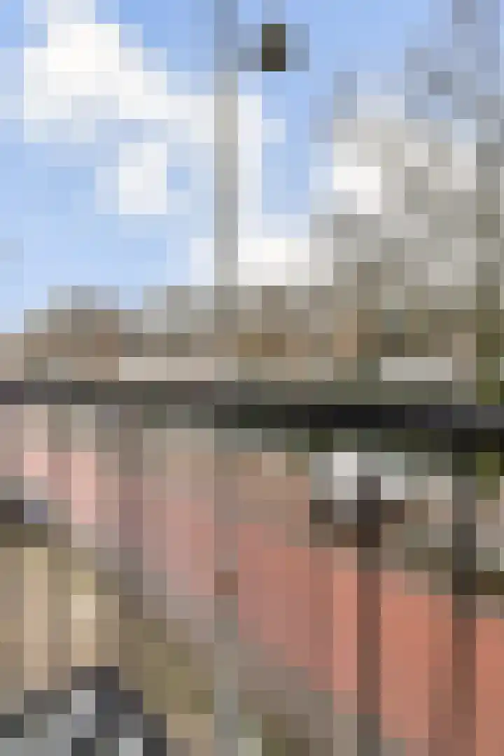 Zaanstraat 22 Amsterdam thumbnail 17