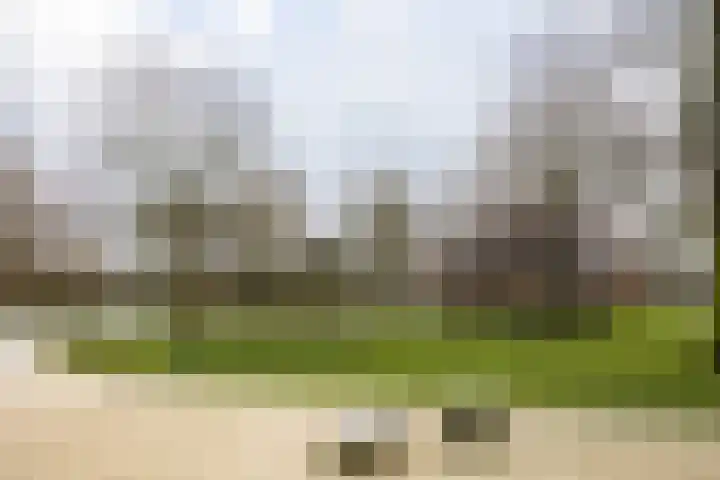 Zaanstraat 22 Amsterdam thumbnail 19