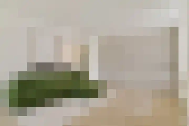 Zaanstraat 22 Amsterdam thumbnail 6