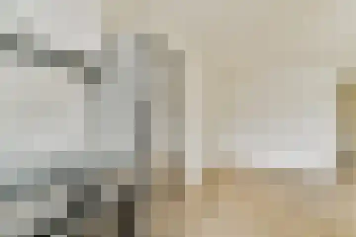 Zaanstraat 22 Amsterdam thumbnail 7