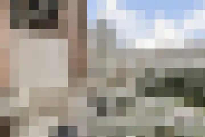 Zaanstraat 22 Amsterdam thumbnail 8