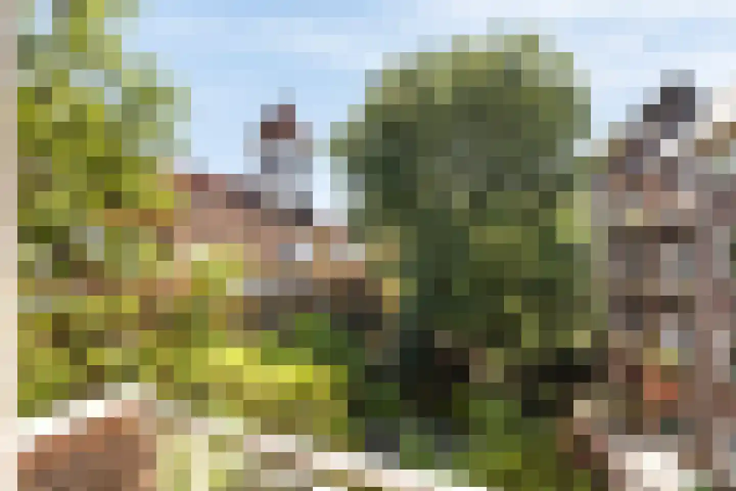 Zaanstraat 288 Amsterdam thumbnail 14