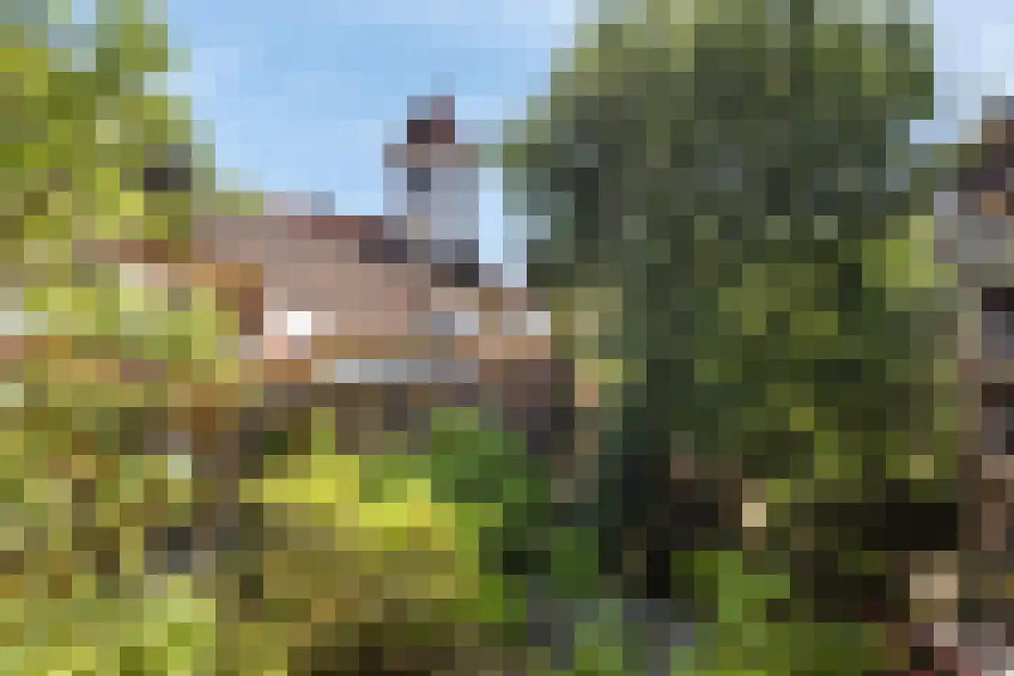 Zaanstraat 288 Amsterdam thumbnail 15