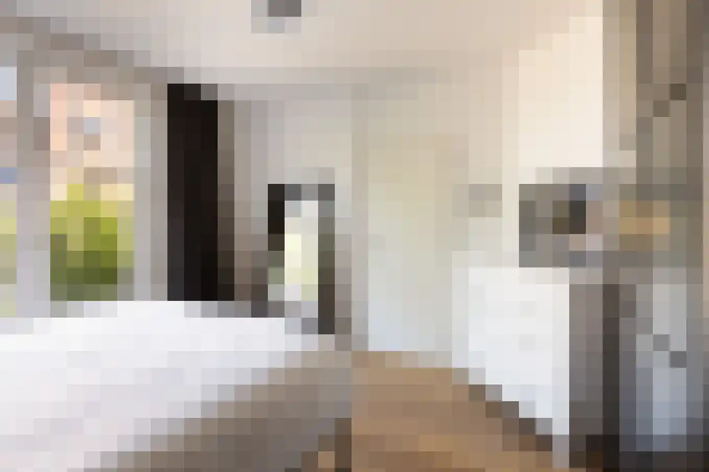 Zaanstraat 288 Amsterdam thumbnail 25