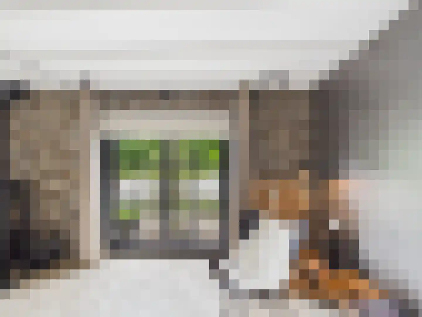Zaanstraat 31 Terneuzen thumbnail 11