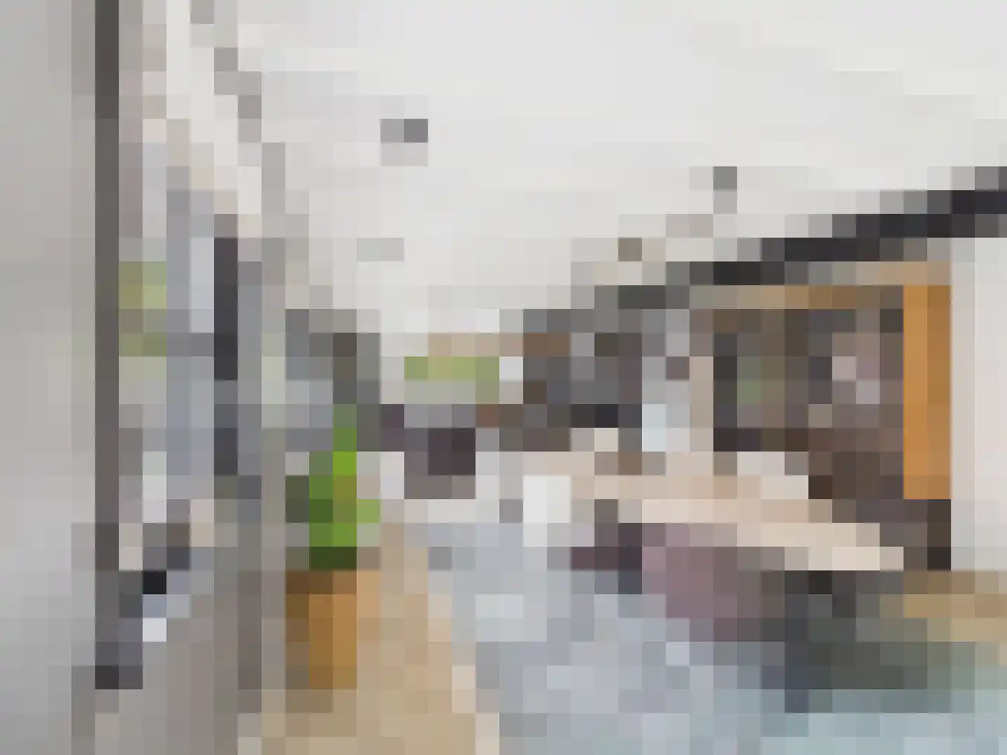 Zaanstraat 31 Terneuzen thumbnail 14