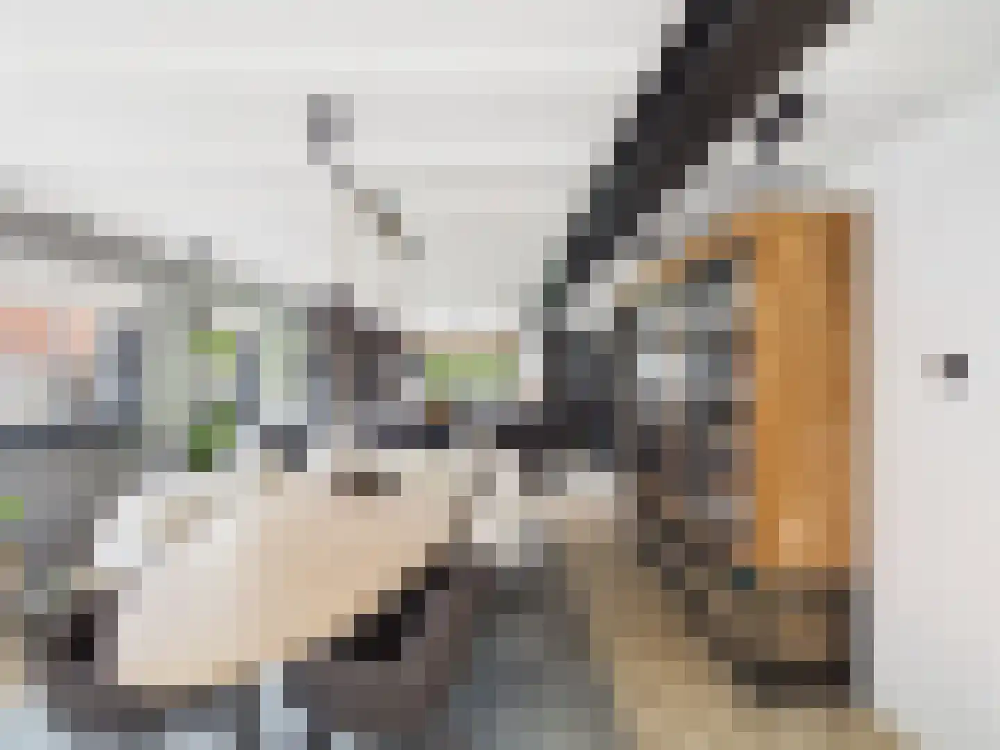 Zaanstraat 31 Terneuzen thumbnail 15