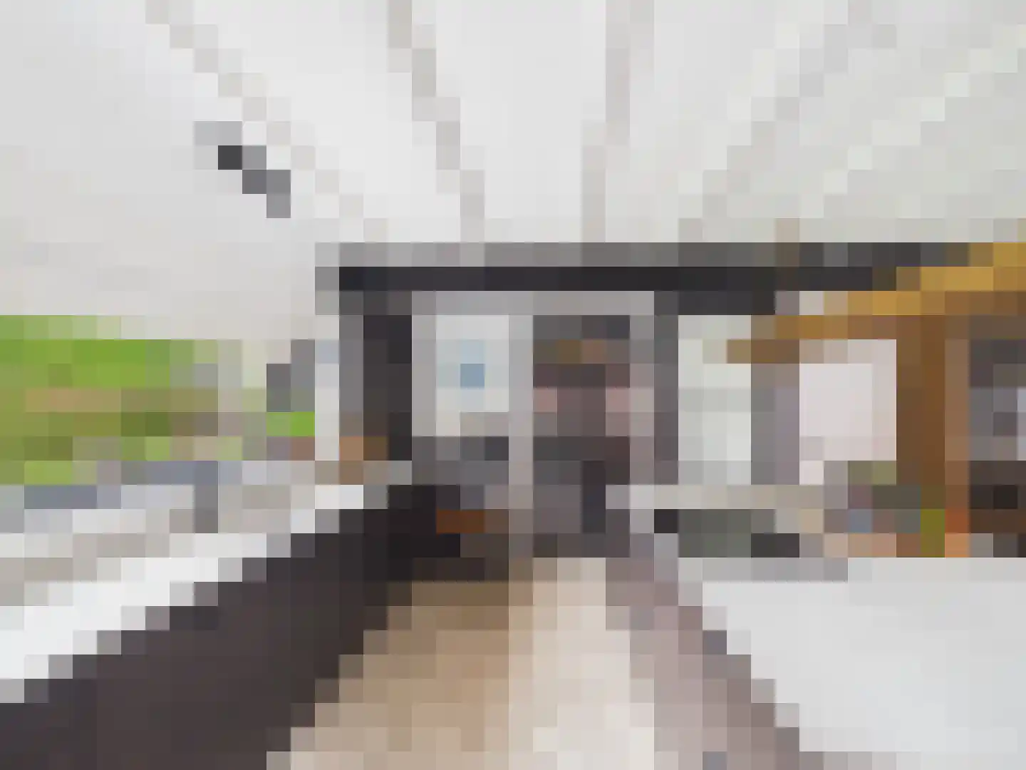 Zaanstraat 31 Terneuzen thumbnail 18