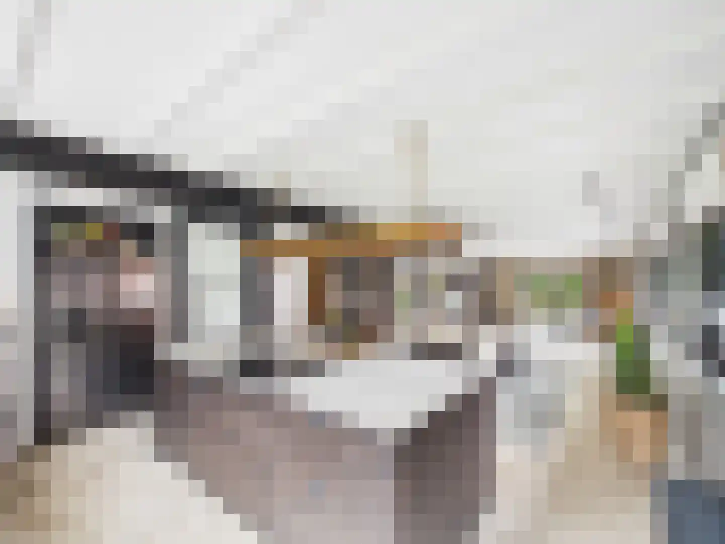 Zaanstraat 31 Terneuzen thumbnail 19