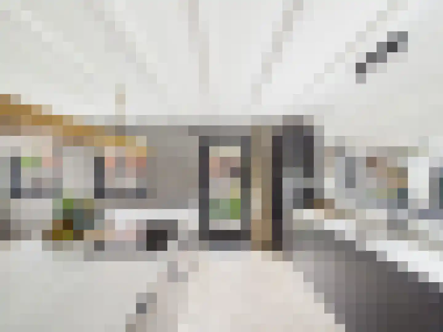Zaanstraat 31 Terneuzen thumbnail 20