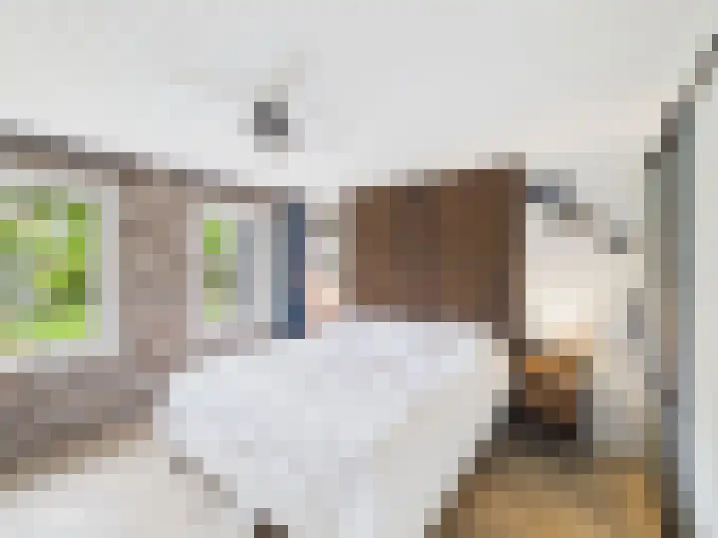 Zaanstraat 31 Terneuzen thumbnail 21