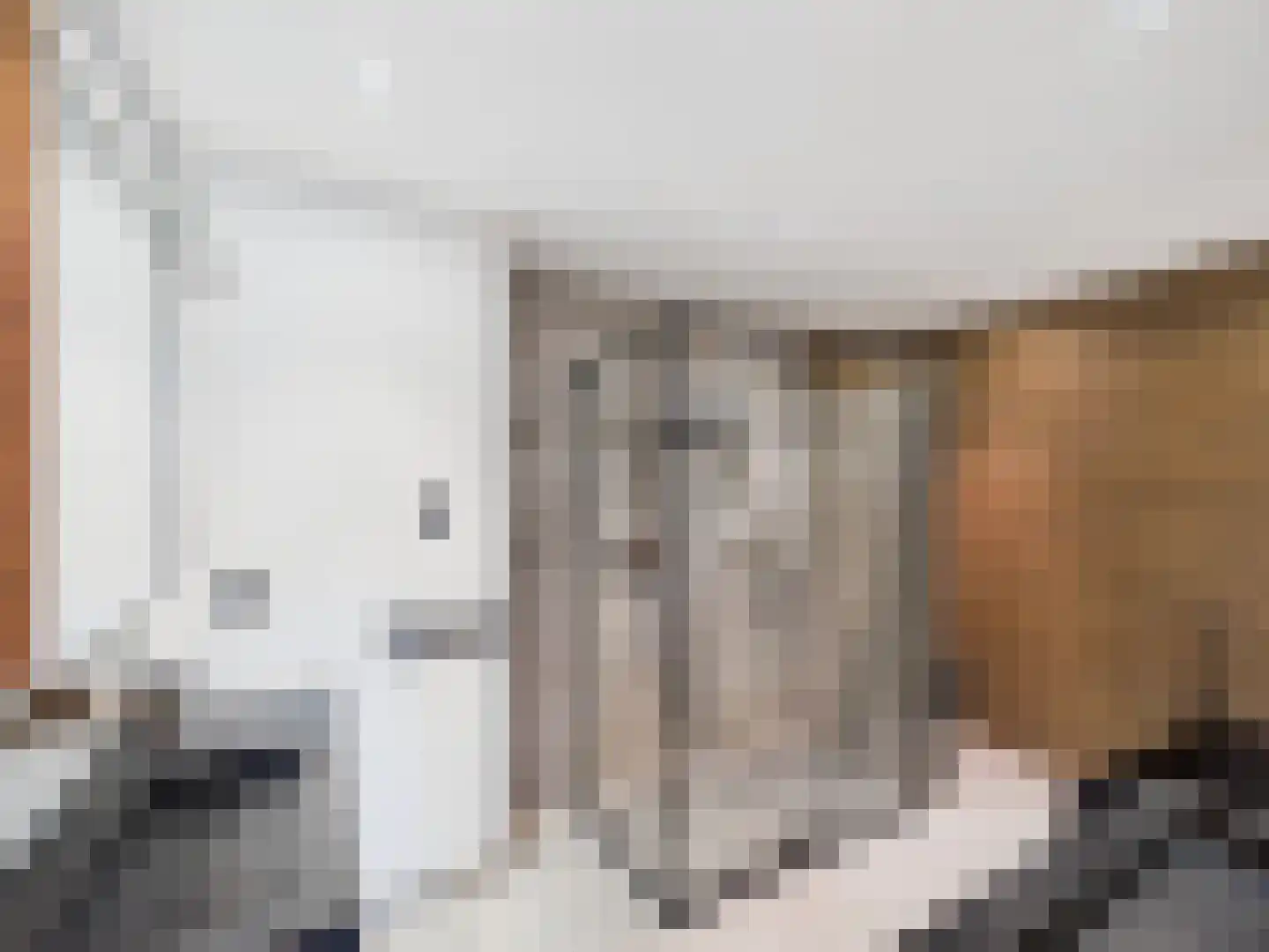 Zaanstraat 31 Terneuzen thumbnail 24