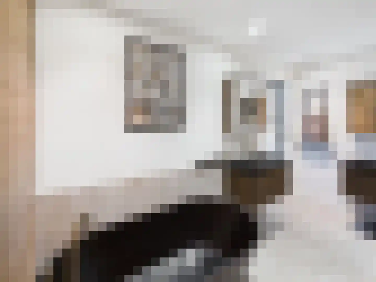 Zaanstraat 31 Terneuzen thumbnail 26