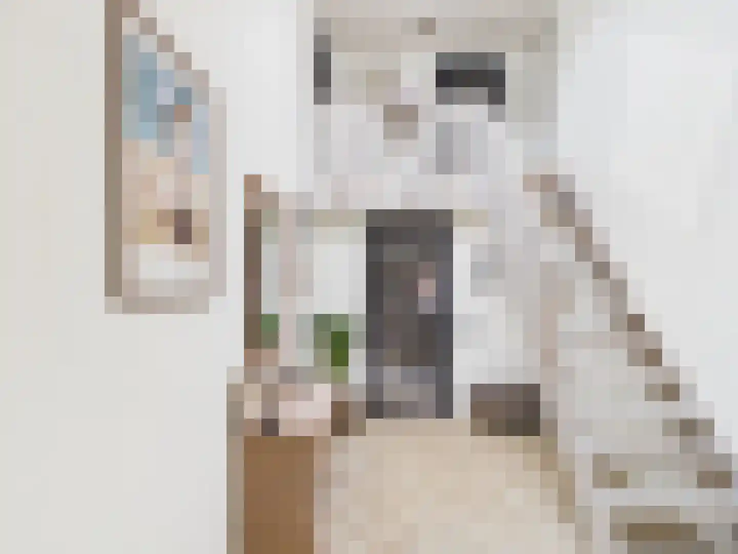 Zaanstraat 31 Terneuzen thumbnail 31