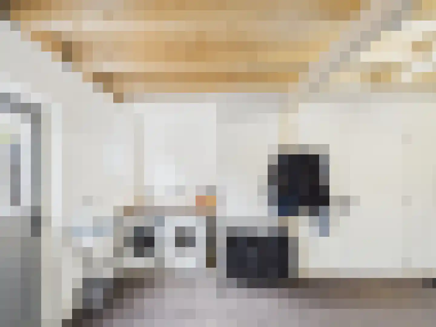 Zaanstraat 31 Terneuzen thumbnail 35