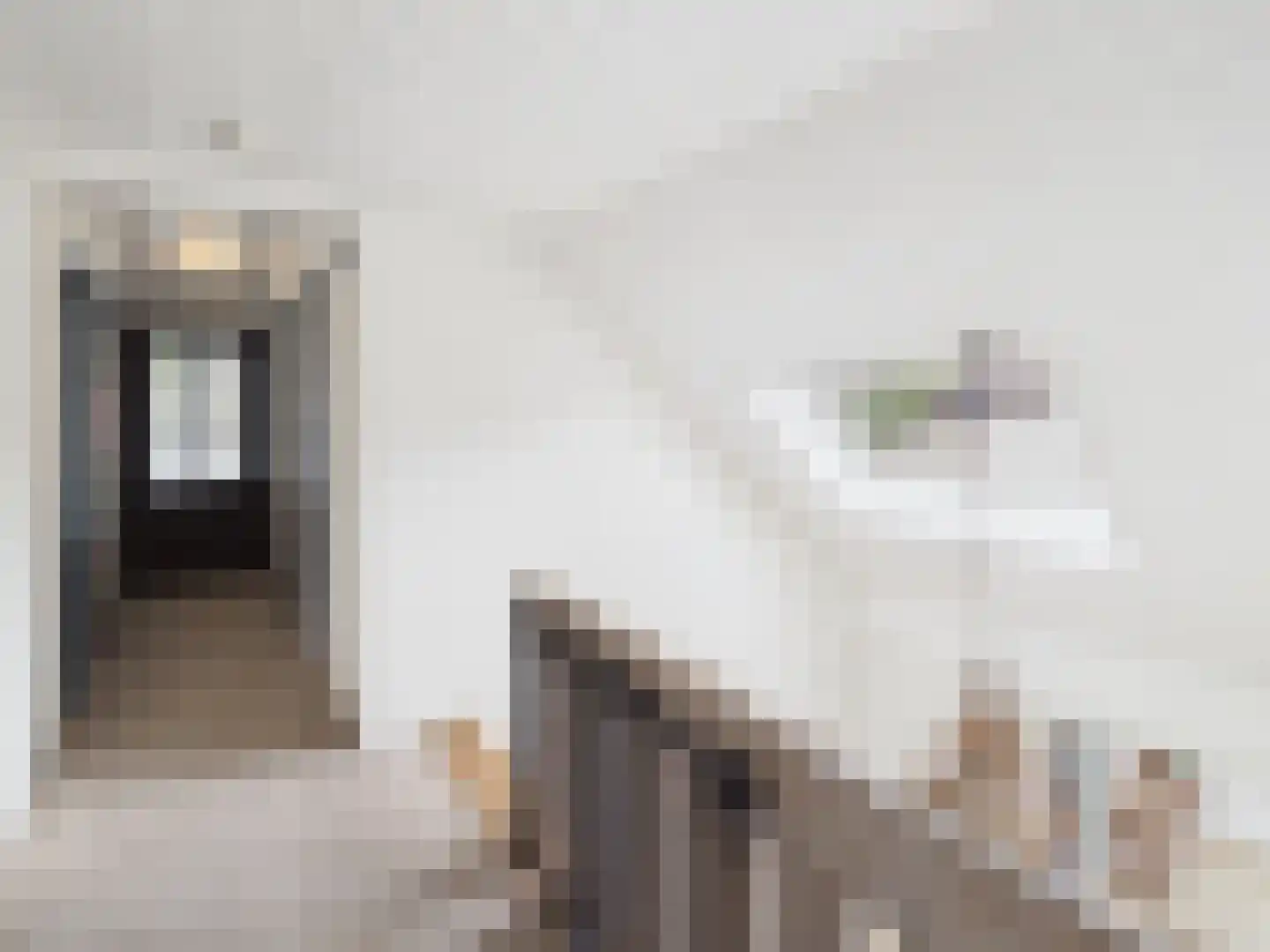 Zaanstraat 31 Terneuzen thumbnail 37